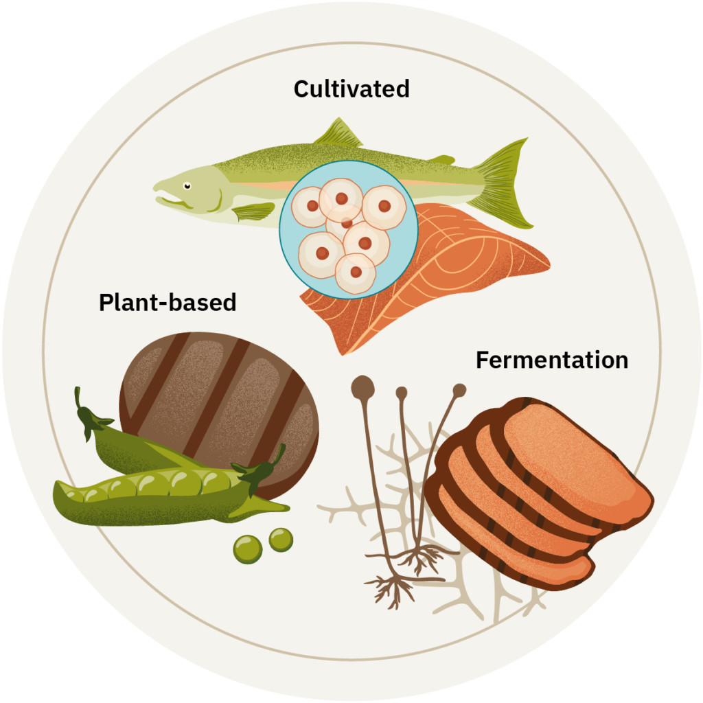 meat and alternatives clipart