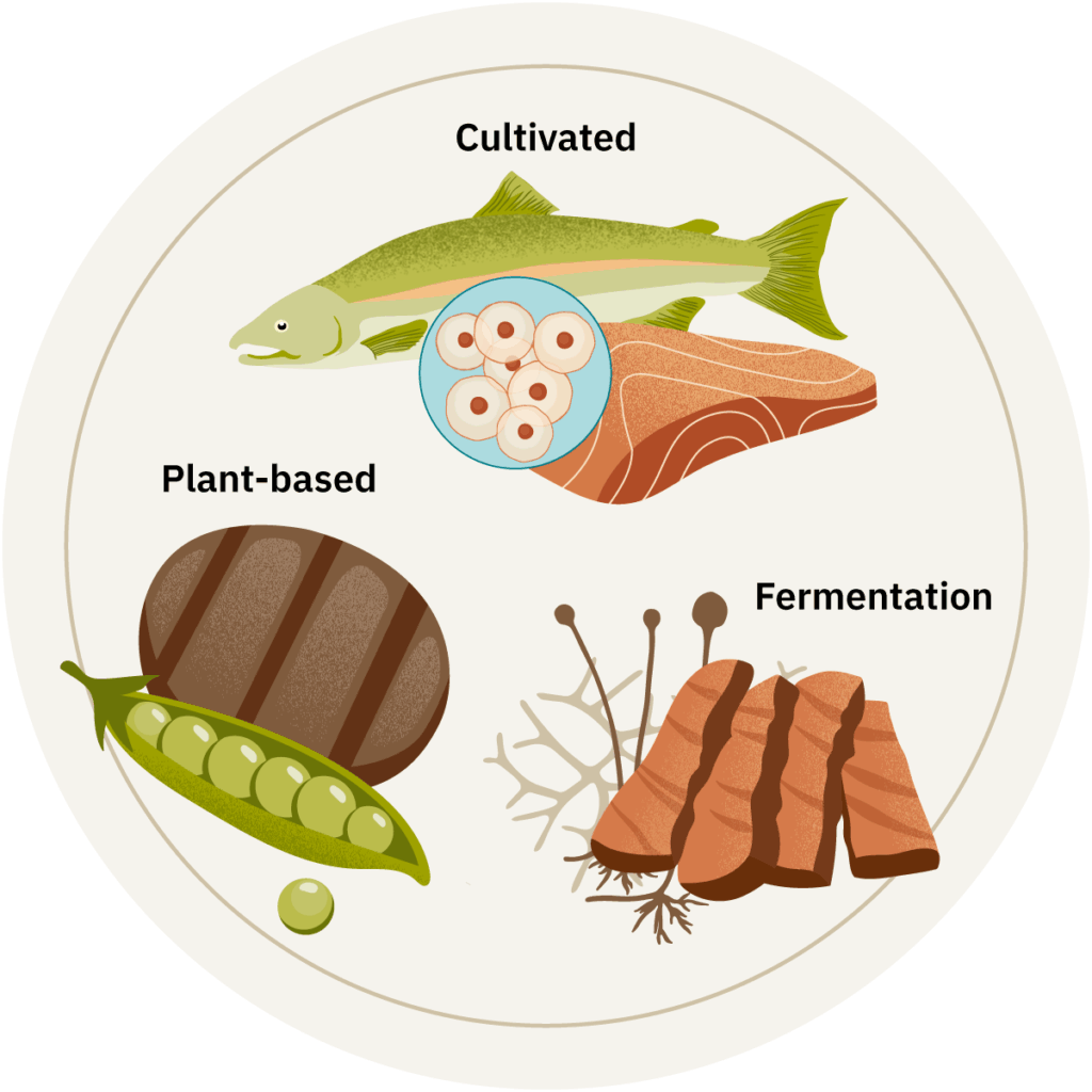 Home 4 An illustration of alternative protein production methods.
