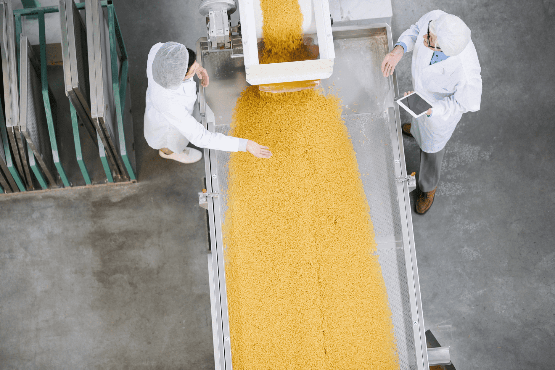 Photo of people working in a protein production facility