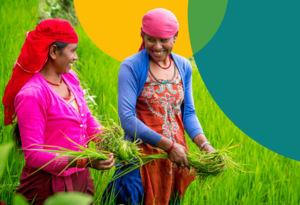 Image of two women working in paddy fields