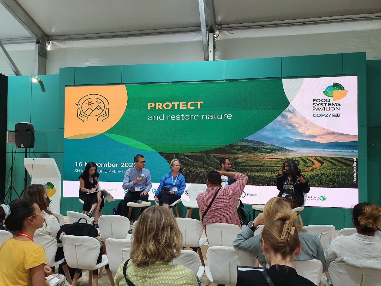 COP27 photo essay: Reflections on the world’s largest climate ...
