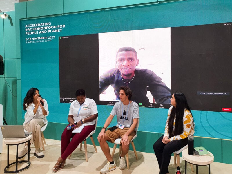 A panelist from the university of nigeria virtually joins in