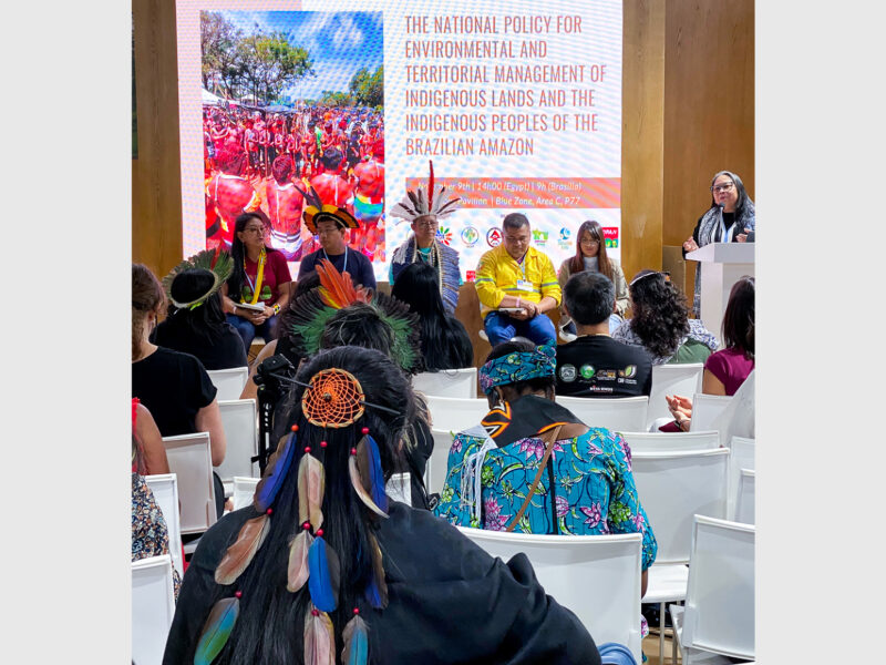 A view from those listening in to a session focused on the brazilian amazon