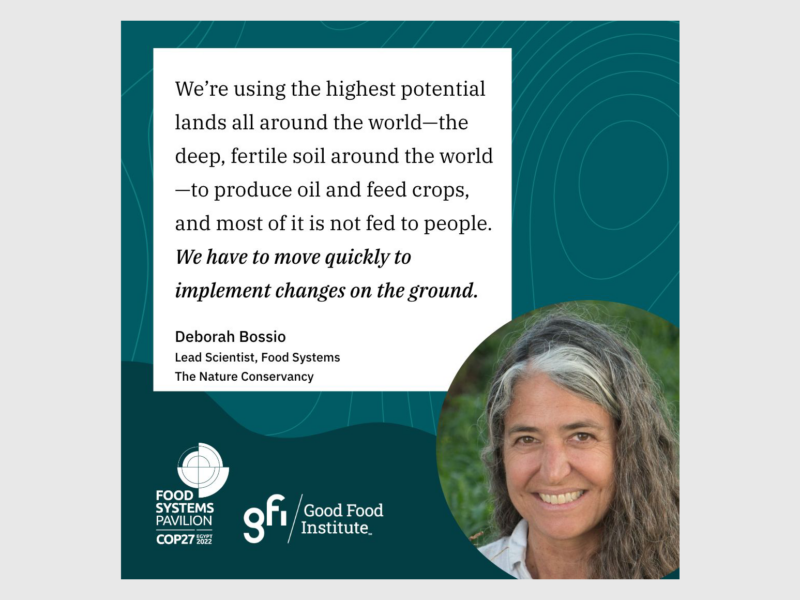 Tnc’s deborah bossio speaks about land use and food security