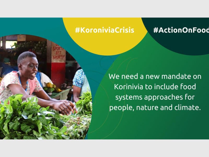 Over 100 orgs call for updates to the koronivia joint work on agriculture