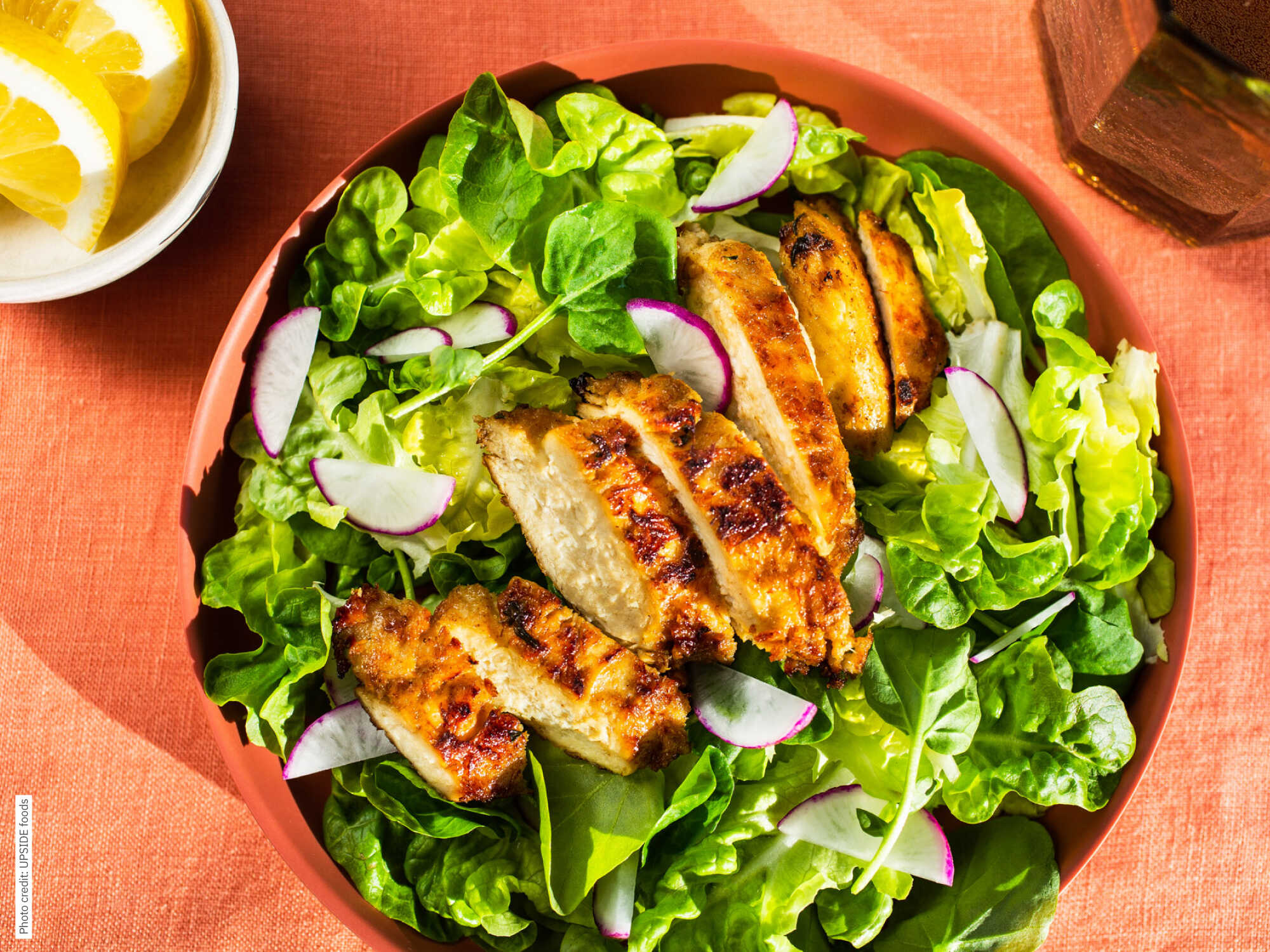 The top 7 alternative protein trends fueling optimism in 2023 The