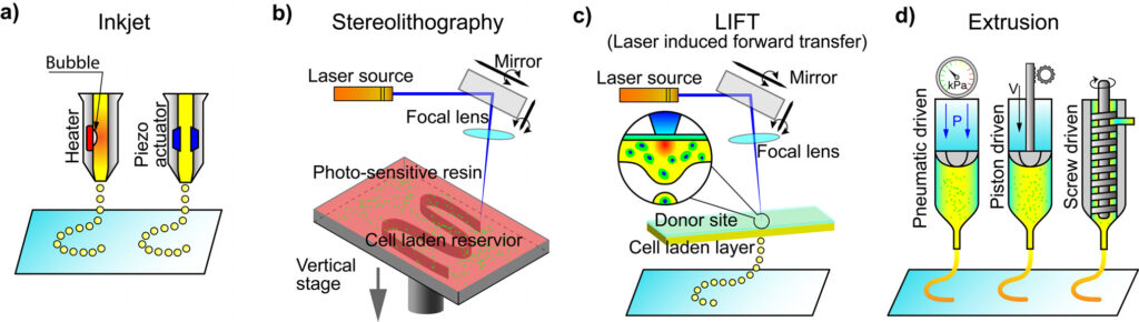 A visual overview of four common bioprinting techniques: inkjet, stereolithography, laser induced forward transfer (lift), and extrusion.