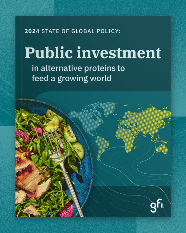 Engaging governments to lead on food system transformation 2 2024 state of global policy report cover