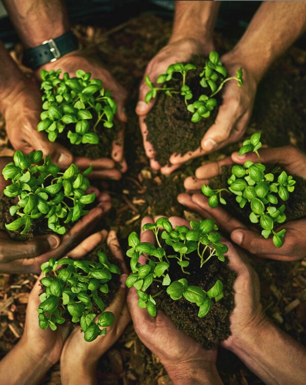 The alt protein project keeps growing—and so does its impact 17 People in a circle holding soil and seedlings in their cupped hands, top view