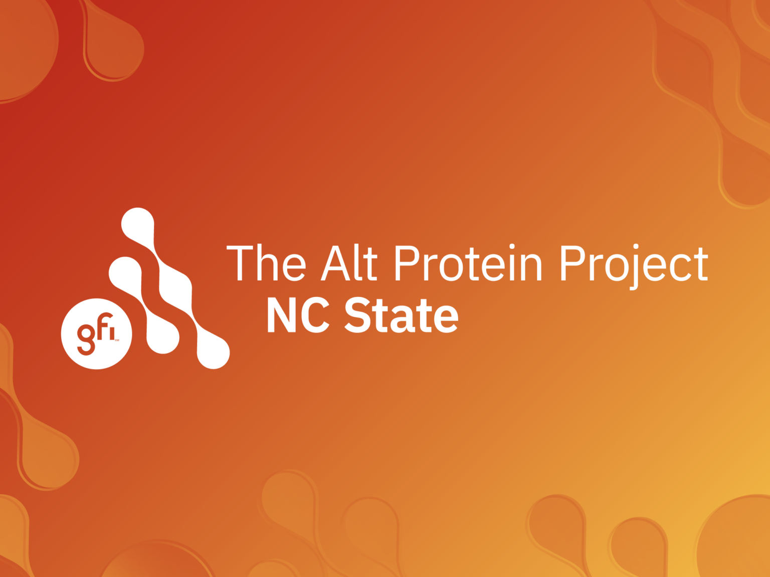 Meet the Alt Protein Project’s latest cohort - The Good Food Institute