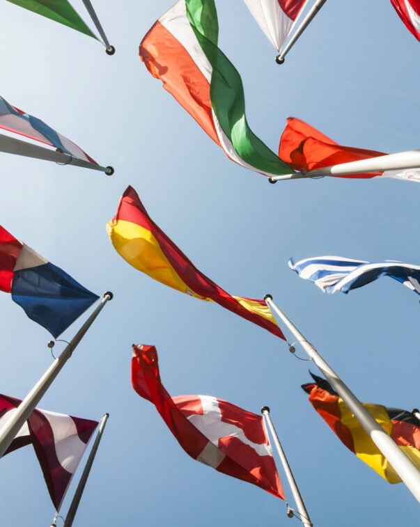 The state of global policy: alternative proteins 4 Flags from around the world