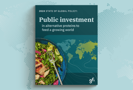 2024 state of global policy report cover