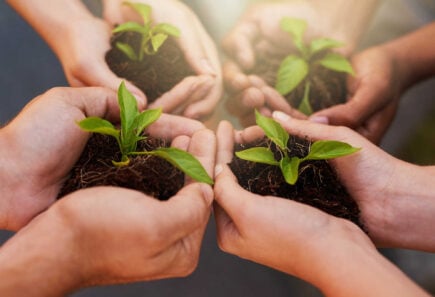 Multiple pairs of hands holding small green seedlings in rich soil, symbolizing growth and community