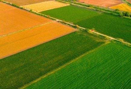 An overhead view of an agricultural field