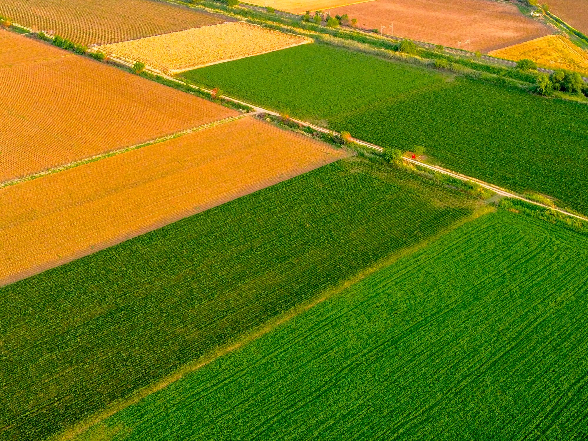 An overhead view of an agricultural field
