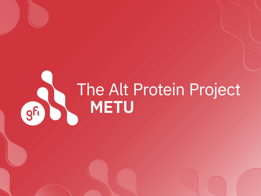 The alt protein project keeps growing—and so does its impact 11 Sci25036 app 2025 cohort featured metu