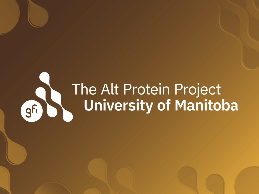 The alt protein project keeps growing—and so does its impact 7 Feature image for the university of manitoba alt protein project