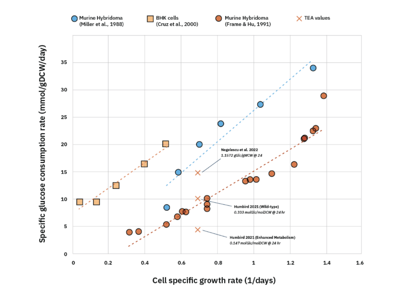 Cell growth modeling review for cultivated meat production 4 Https://gfi. Org/wp content/uploads/2025/10/sci25040 cmtea webpage graphics figure3
