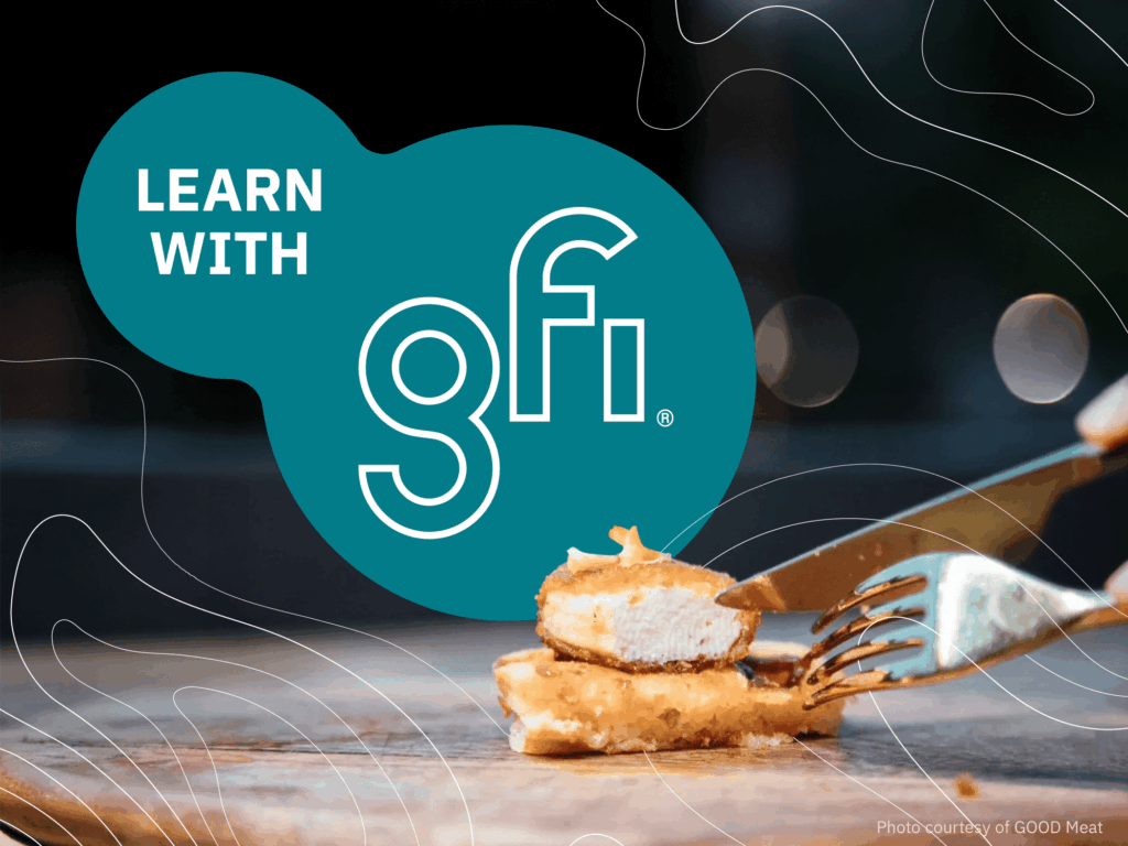 Education and workforce development 2 Learn with gfi logo next to a piece of plant-based meat