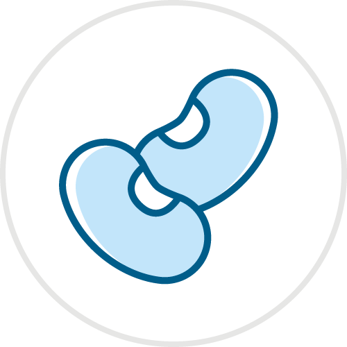 The science of alt protein: bean breeding and genetics for sustainable protein production 2 Bean icon