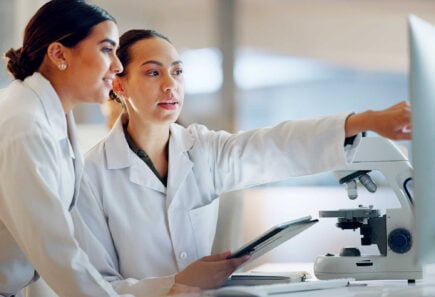 Two scientists working in a laboratory