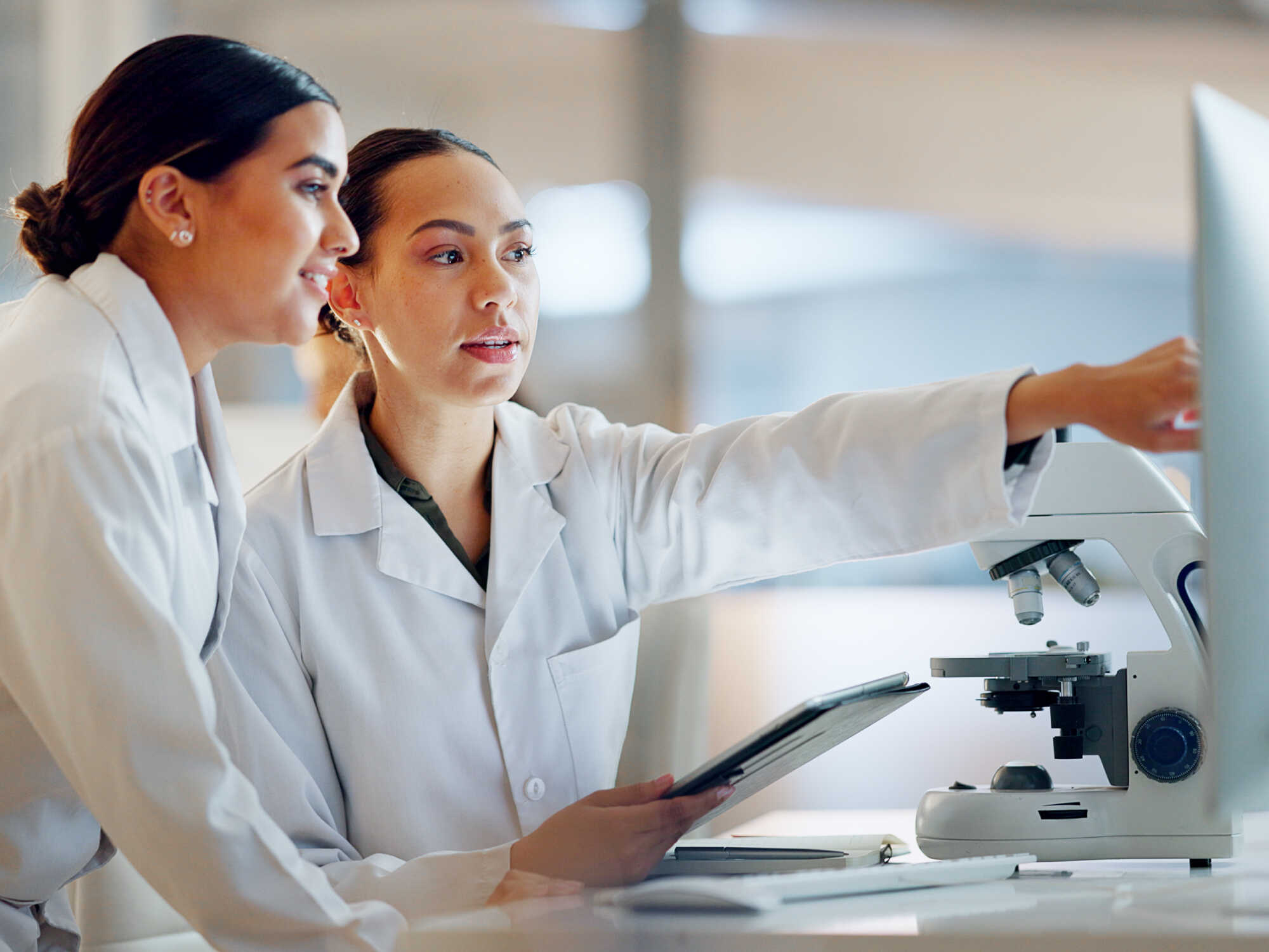 Two scientists working in a laboratory