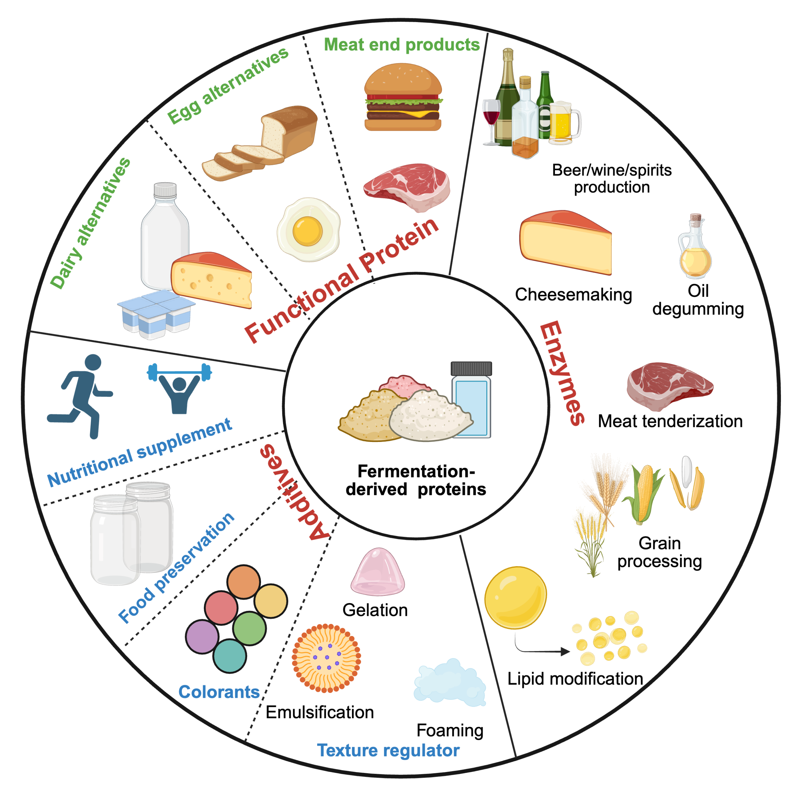A graphical description of fermentation-derived ingredient and food processing agent functionality.