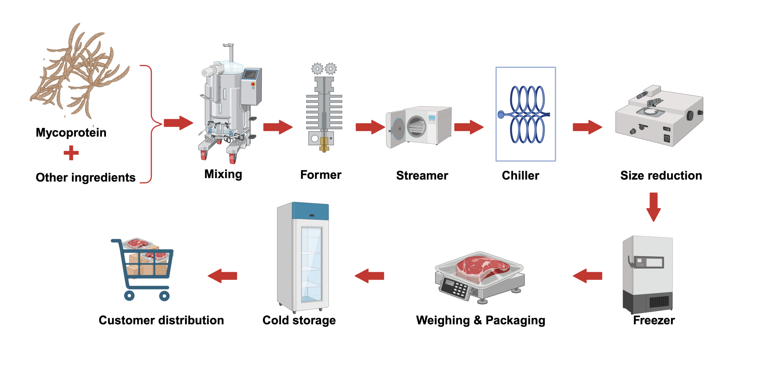 A flow diagram of mycoprotein ingredient formulation into end-product.