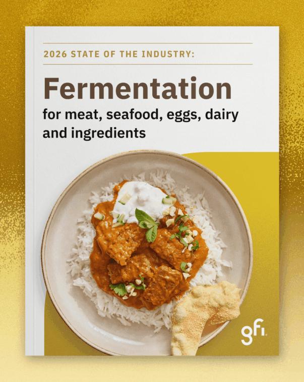 The cover of the 2026 state of the industry report on fermentation-enabled meat, seafood, eggs, and dairy produced by the good food institute