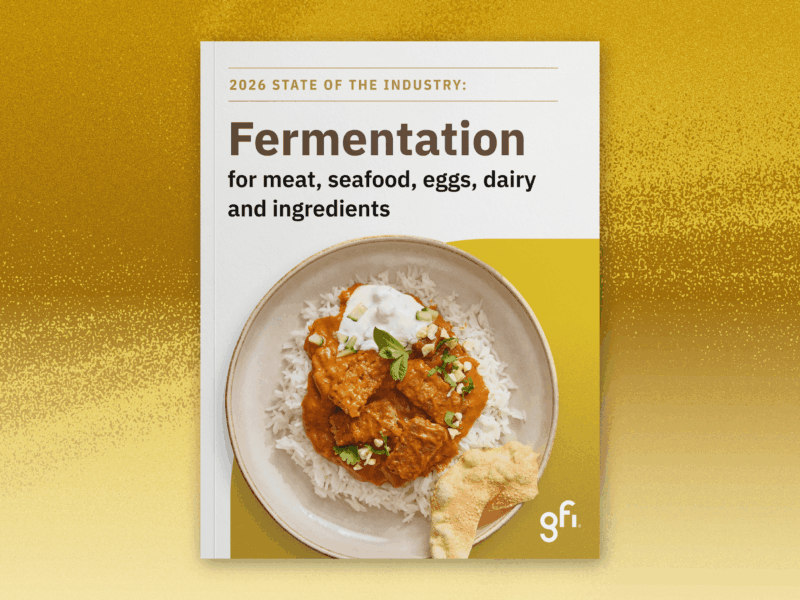 The cover of the 2026 state of the industry report on fermentation-enabled meat, seafood, eggs, and dairy produced by the good food institute