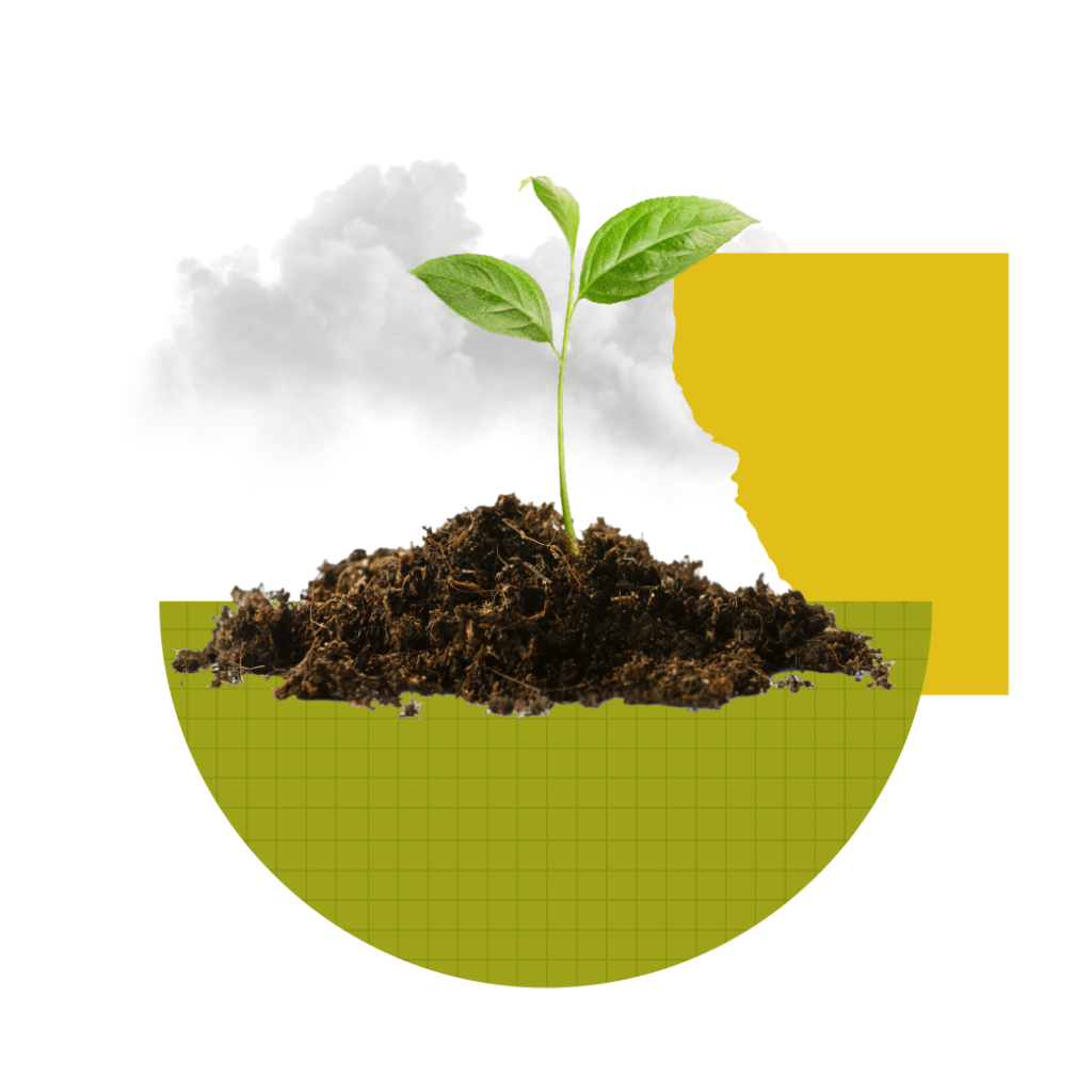 Year in review 2025 4 Yir page graphics yir graphic biodiversity