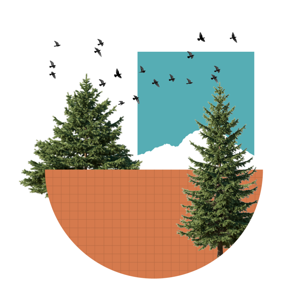 Year in review 2025 3 Yir page graphics yir graphic climate