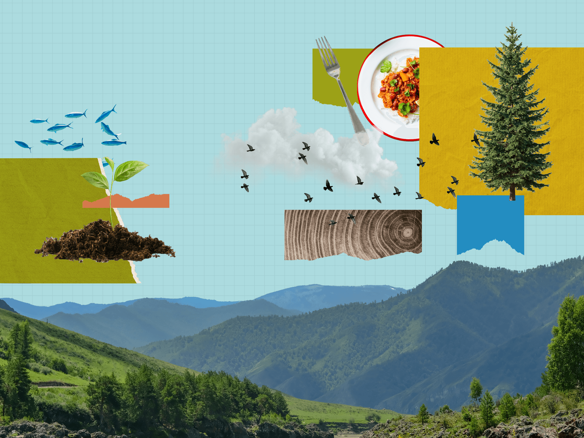 Abstract collage with nature imagery and blue gridlines