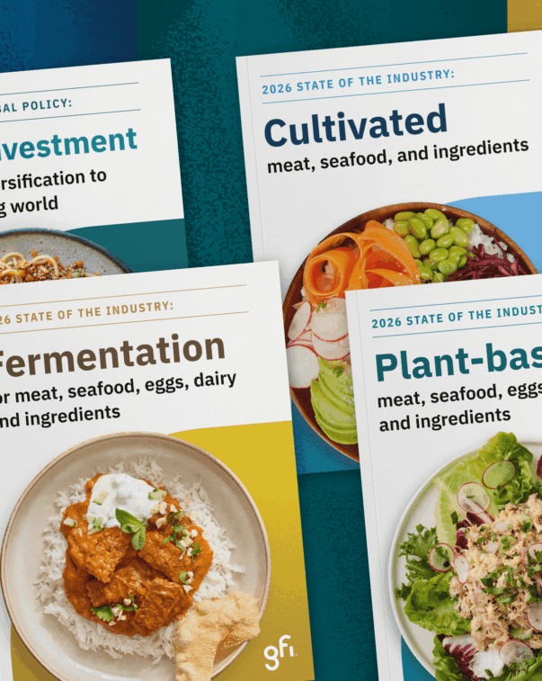 2026 state of the industry report covers on a decorative background