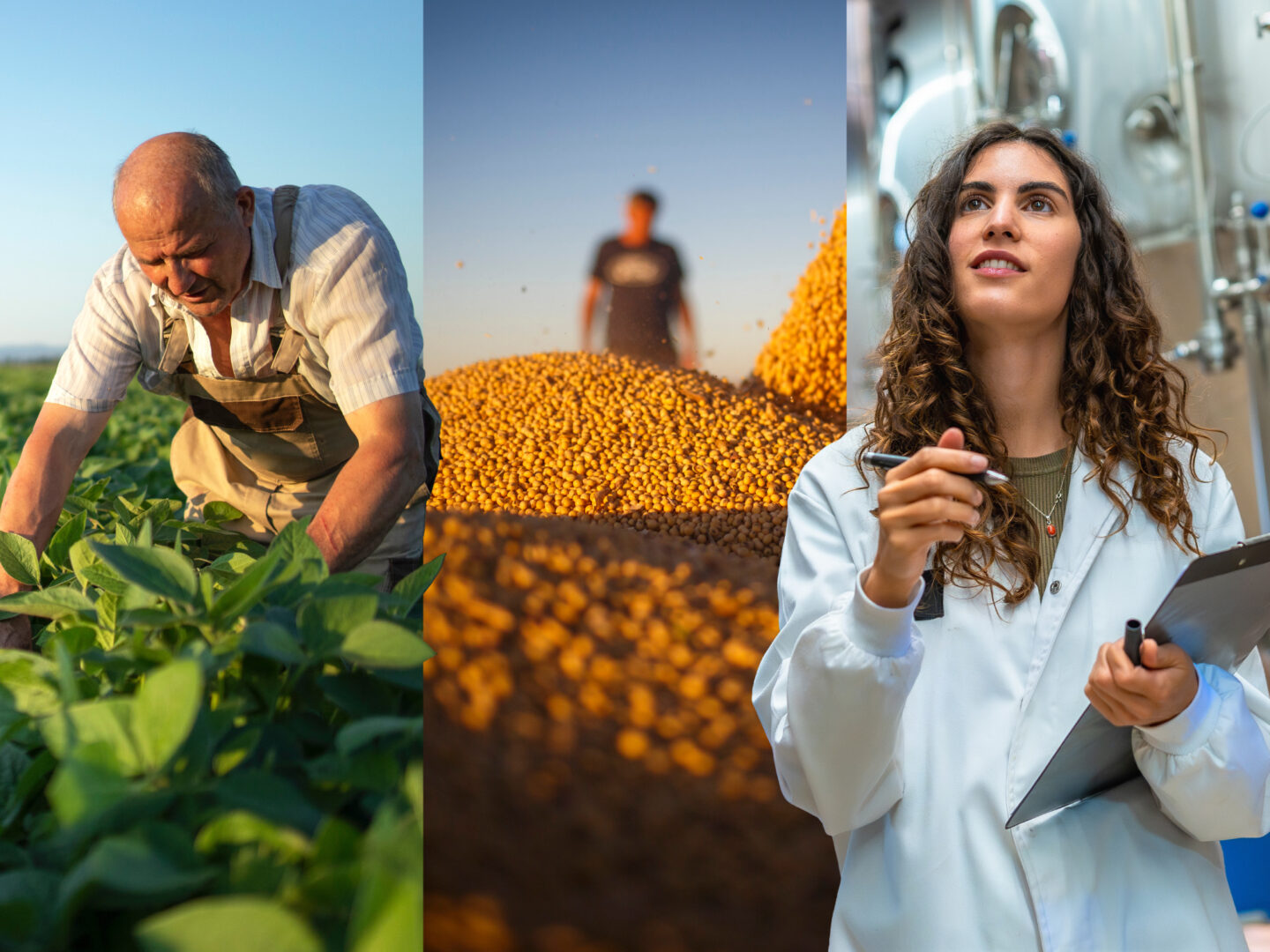 A three image panel depicting two farmers in the field and a food scientist