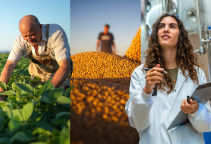 A three image panel depicting two farmers in the field and a food scientist
