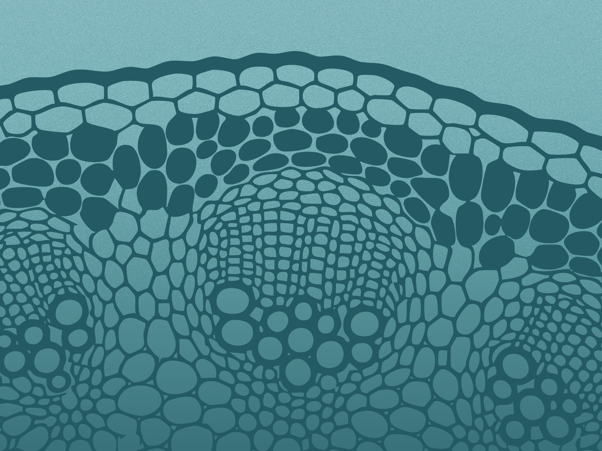 Https://gfi. Org/wp content/uploads/2026/06/sci26024 webinar graphics soap july header featured