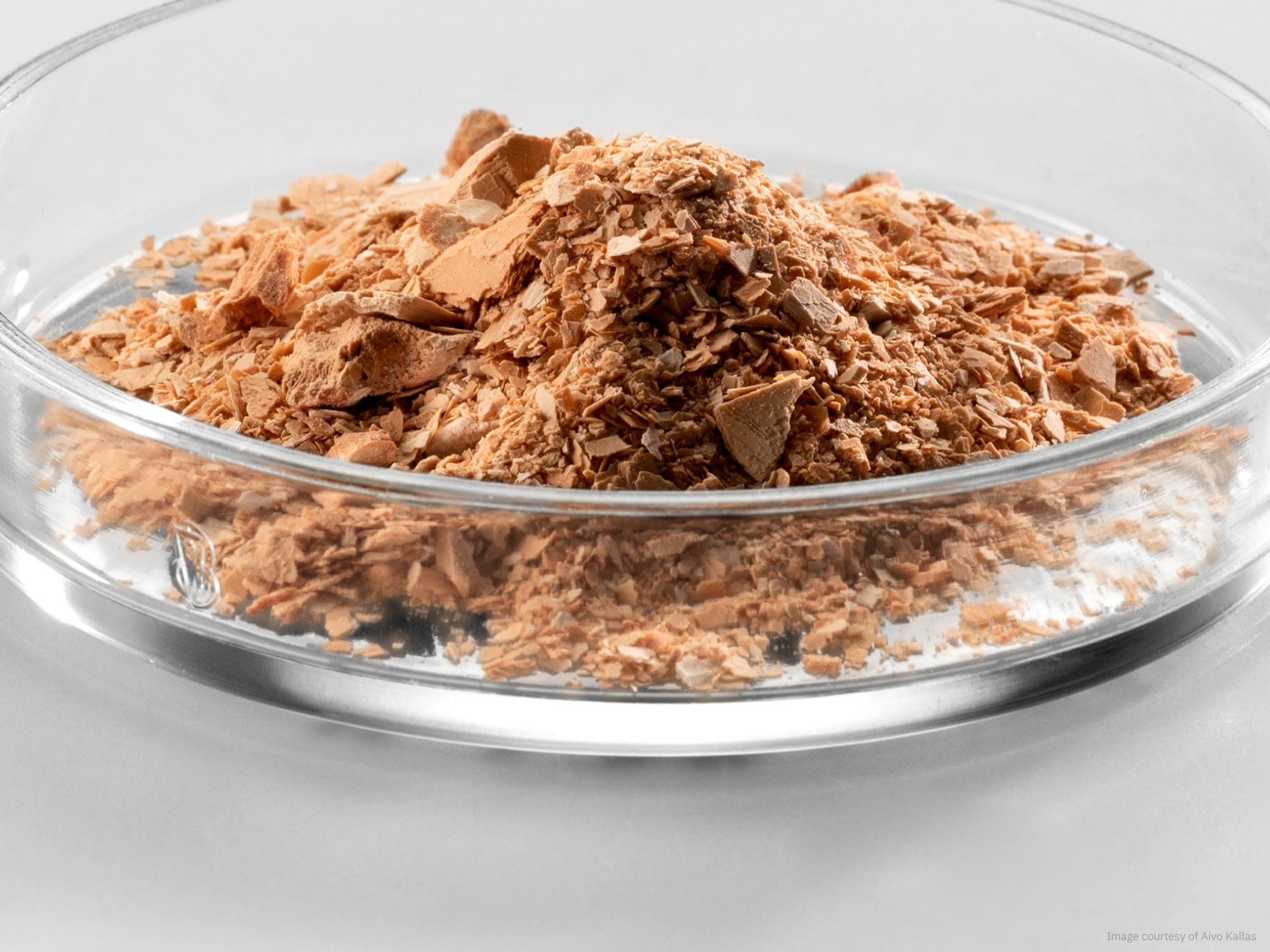 Closeup of ingredients made via fermentation